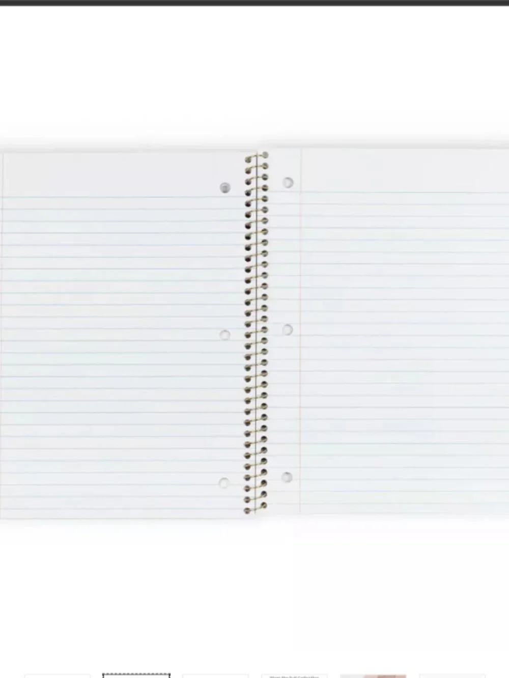 LoveShackFancy subject notebook